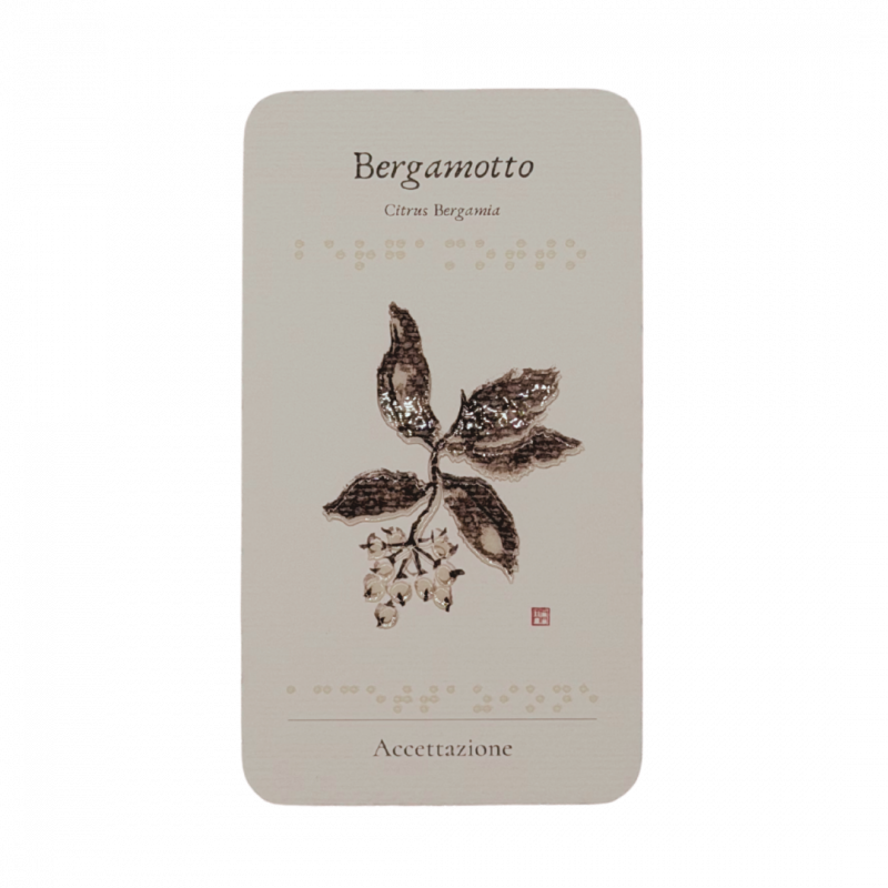 Le Essenziali braille