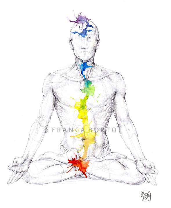 Stampa anatomy 7 chakras uomo franca bortot - a3