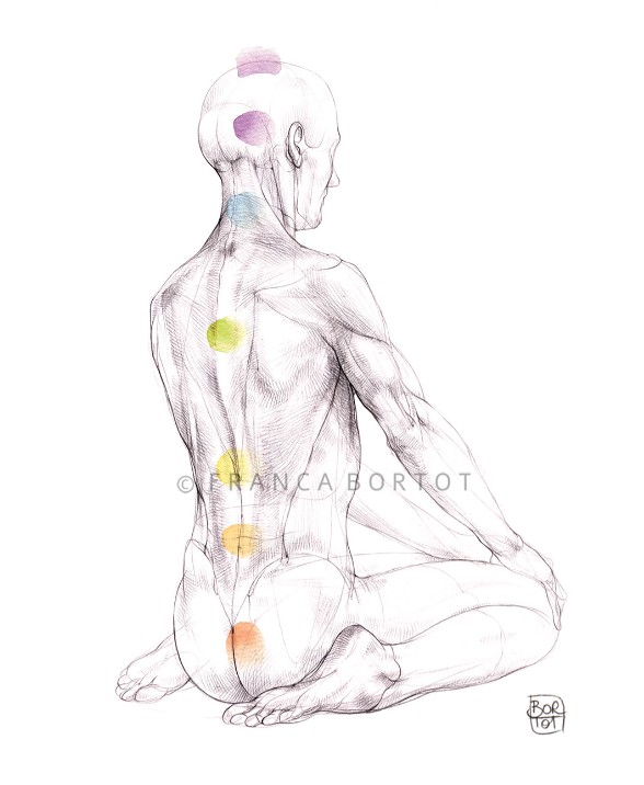 Stampa anatomy 7 chakra uomo franca bortot - a5