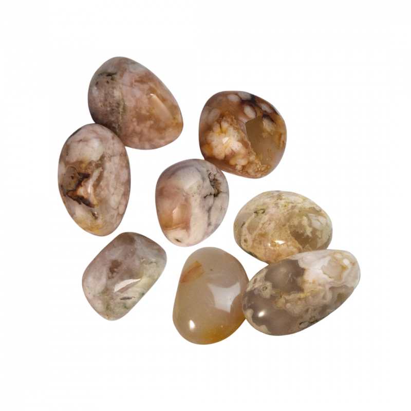 Agata sakura burattata