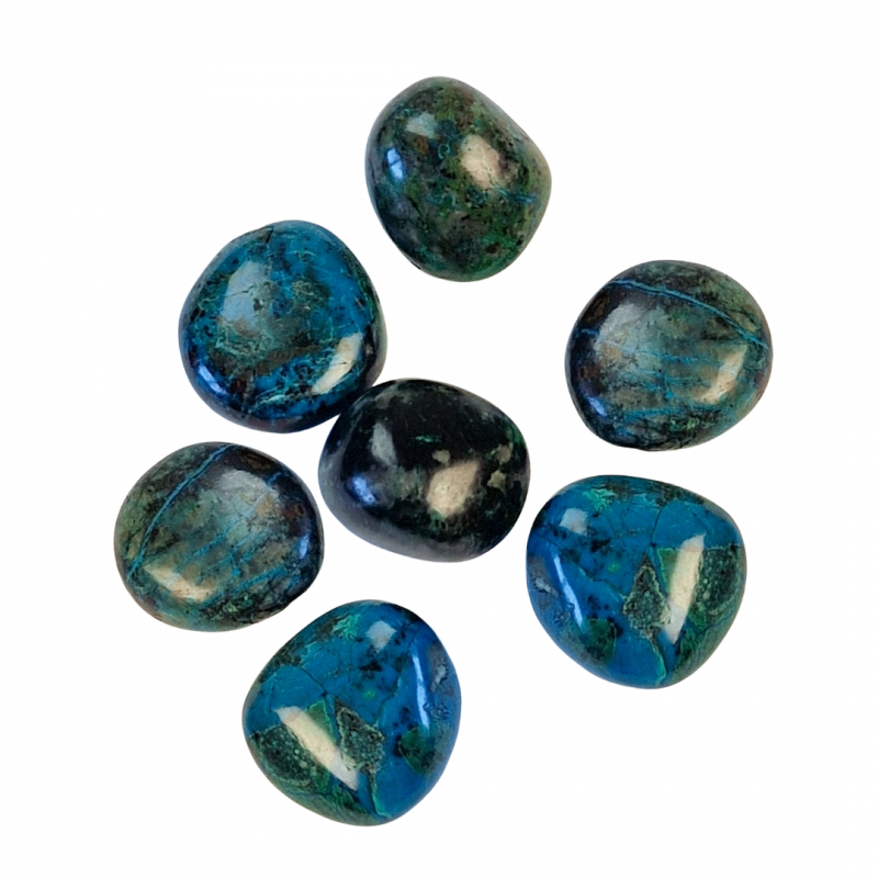 Crisocolla burattata