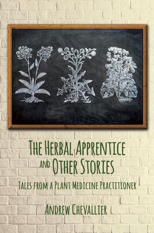 Herbal apprentice and other stories (the)