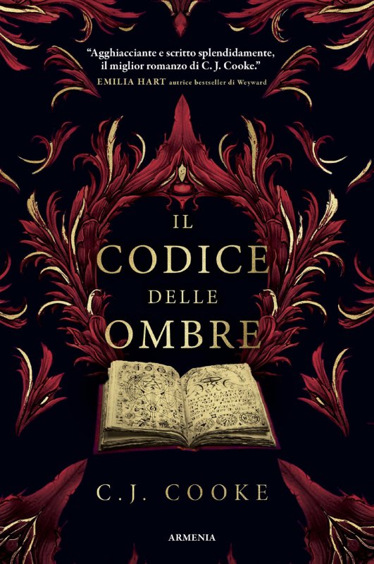 Il codice delle ombre