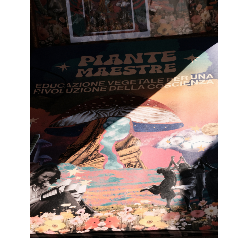 Poster piante maestre 2026