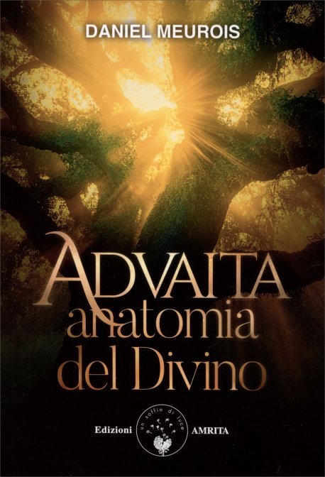 Advaita. Anatomia del divino