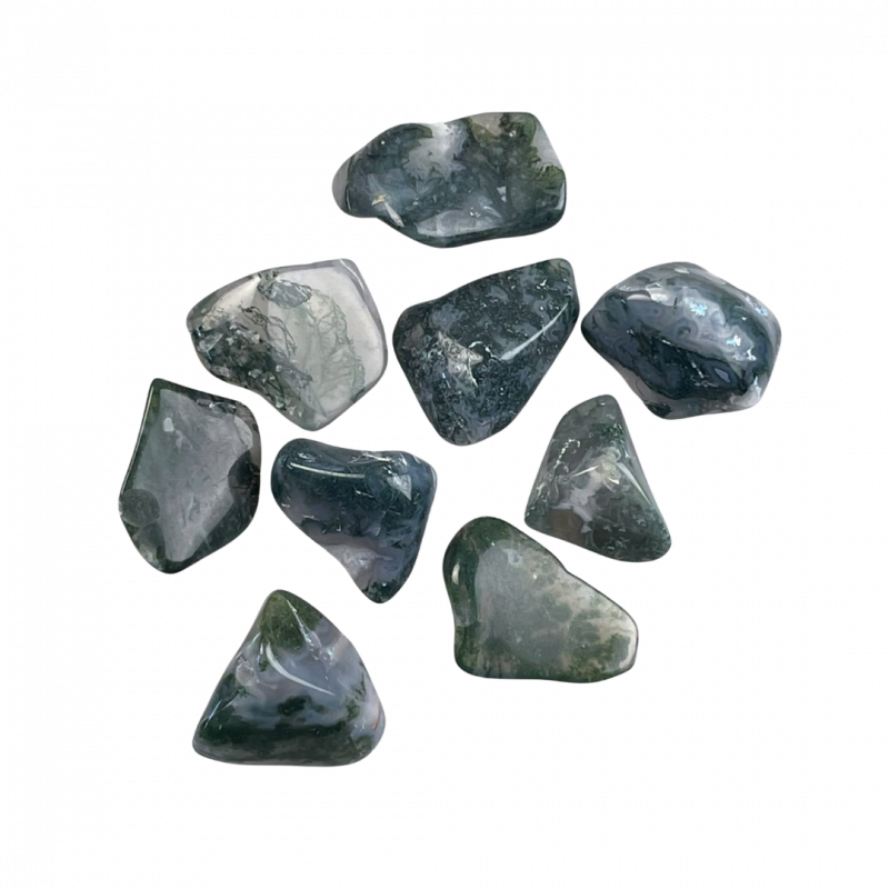 Agata muschiata burattata