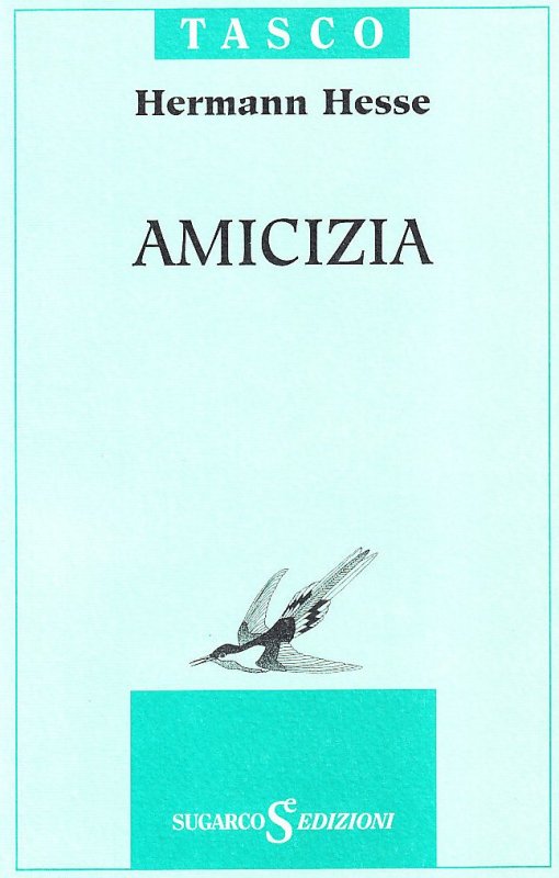 Amicizia
