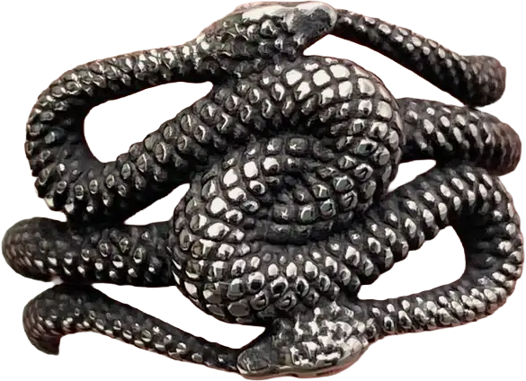 Anello con serpenti intrecciati in acciaio inox - regolabile