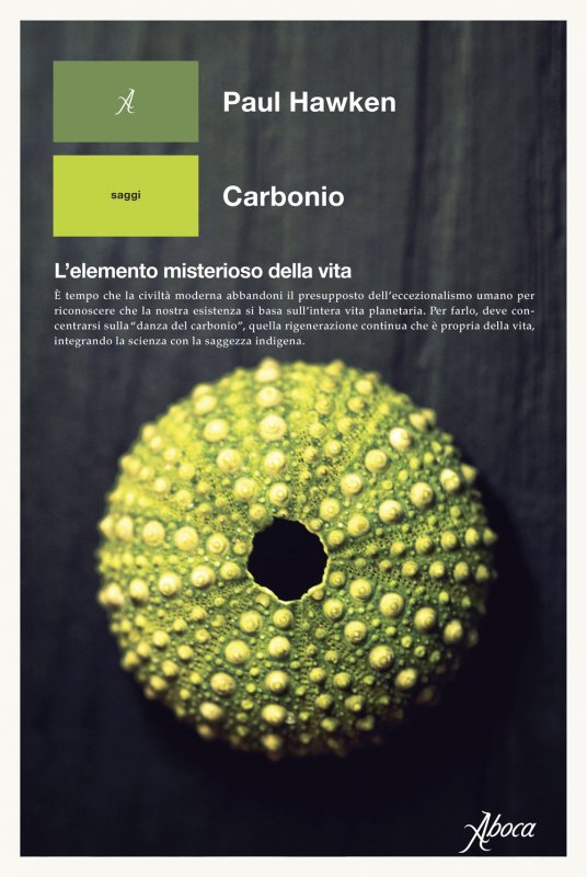 Carbonio. L'elemento misterioso della vita