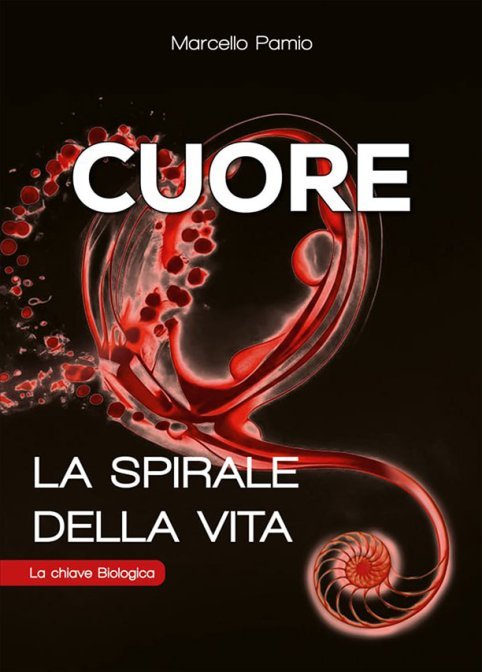 Cuore la spirale della vita