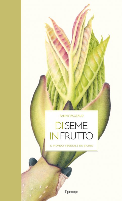 Di seme in frutto. Il mondo vegetale da vicino
