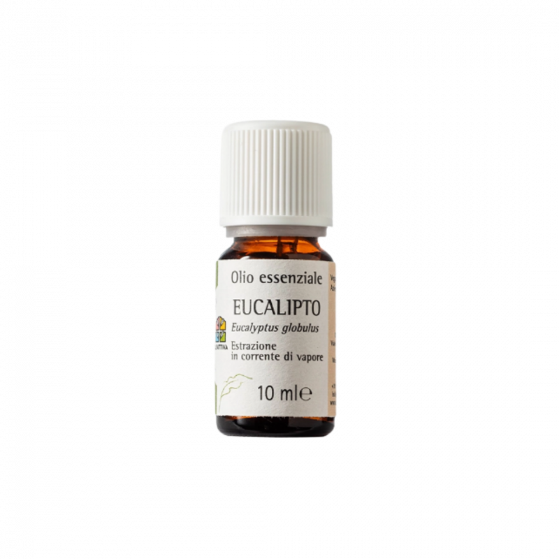Eucalipto - olio essenziale 10 ml