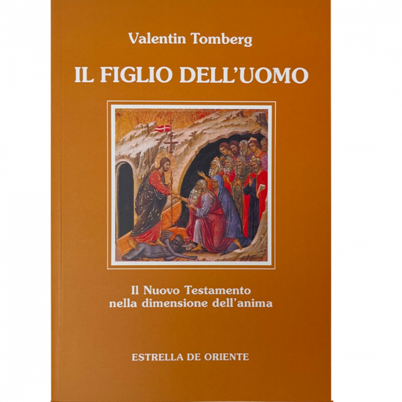 Il figlio dell'uomo. Il Nuovo Testamento nella dimensione dell'anima