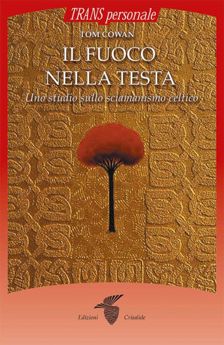 Il fuoco nella testa