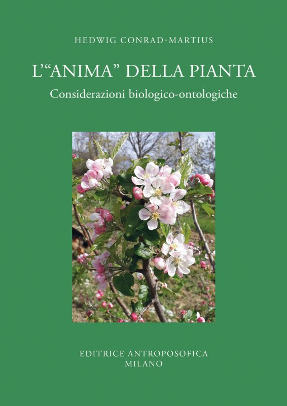 L'«anima» della pianta. Considerazioni biologiche-ontologiche