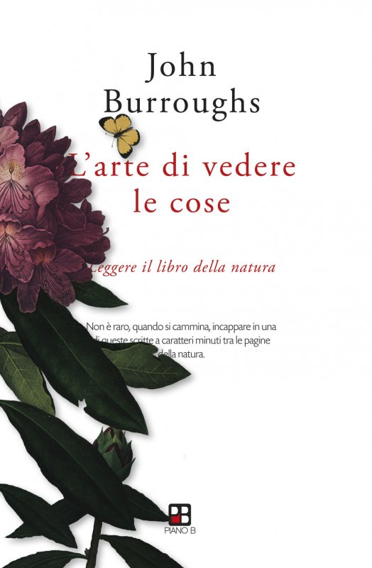 L'arte di vedere le cose. Leggere il libro della natura