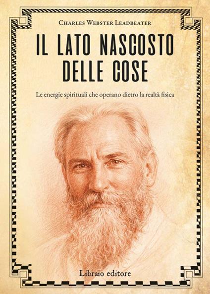 Lato nascosto delle cose (il)