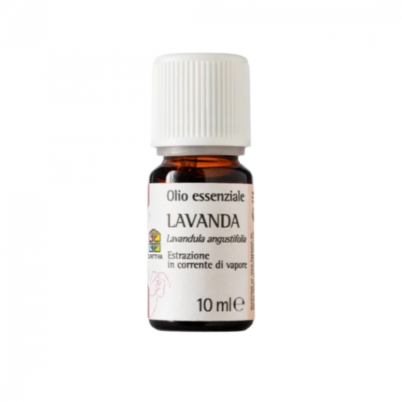 Lavanda - olio essenziale 10 ml