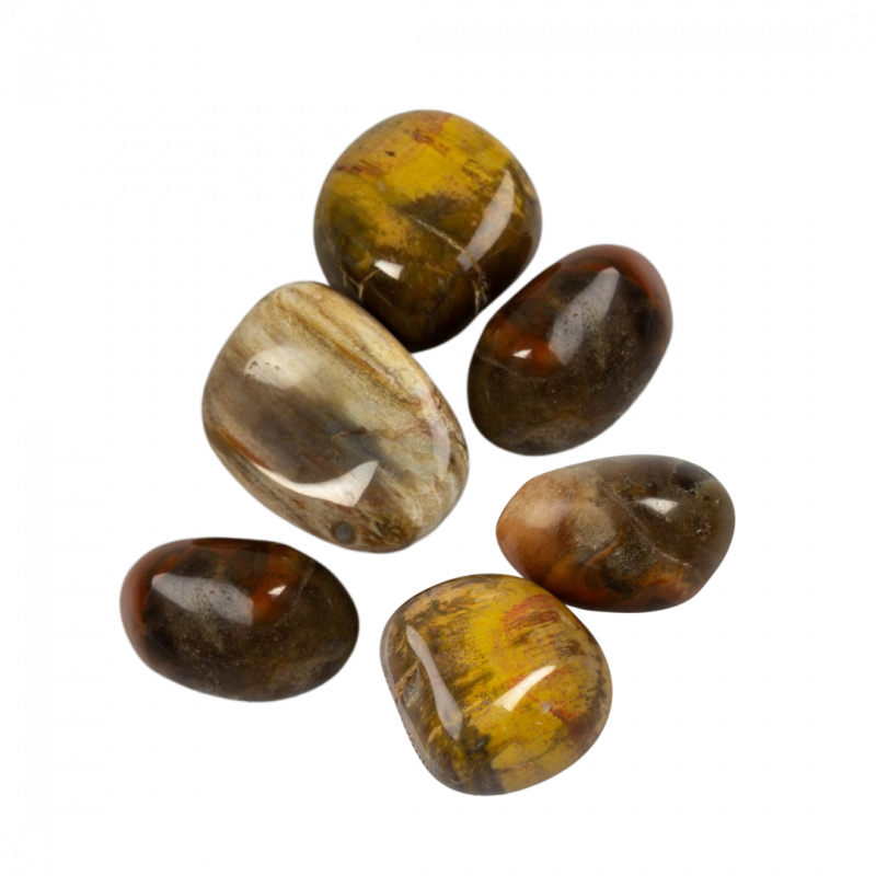 Legno fossile burattato