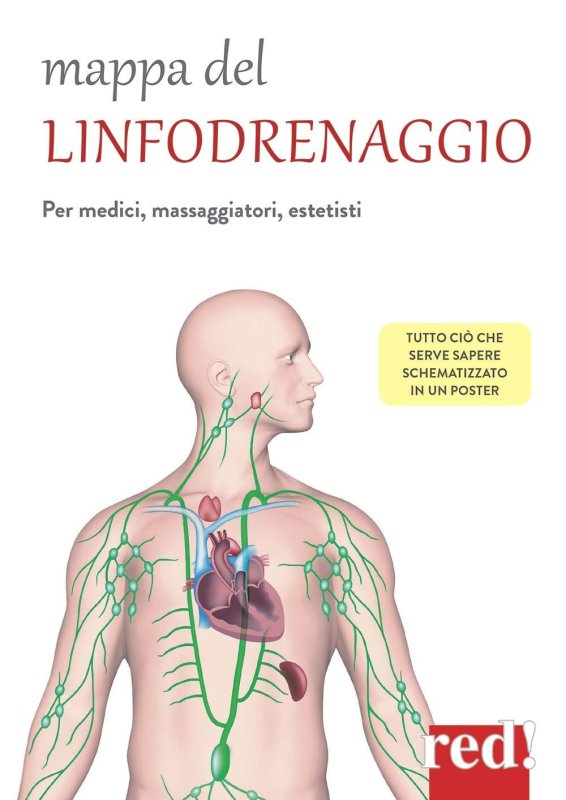 Mappa del linfodrenaggio. per medici, massaggiatori, estetisti