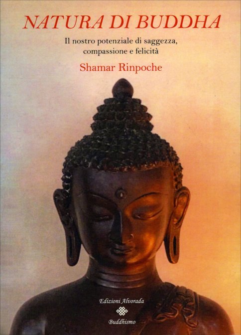 Natura di Buddha. Il nostro potenziale di saggezza, compassione e felicità