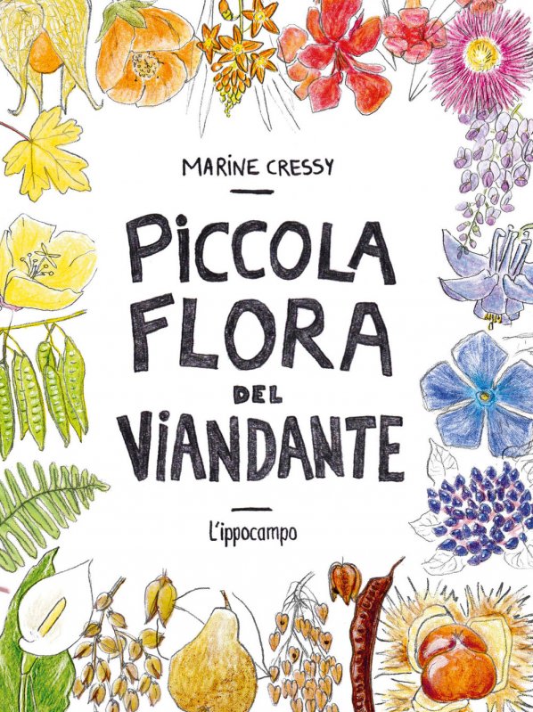 Piccola flora del viandante