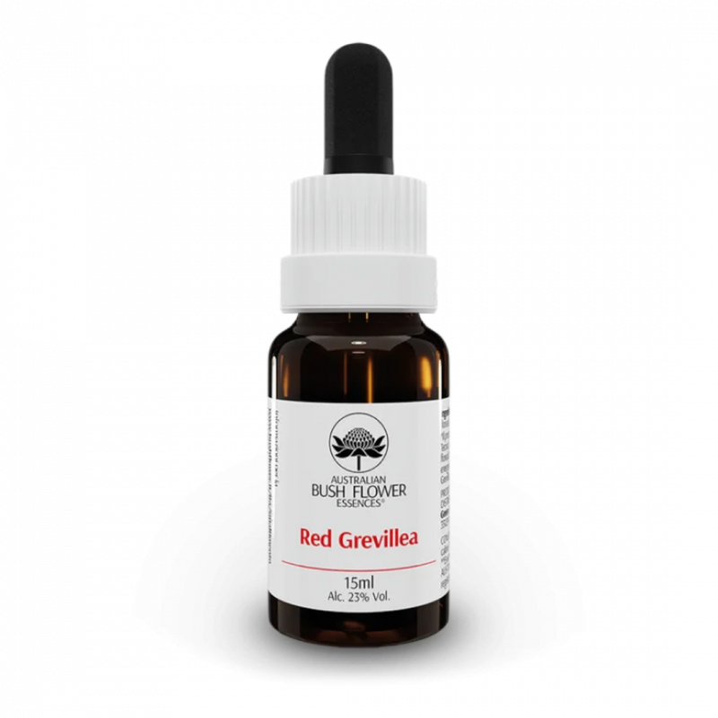 Red grevillea