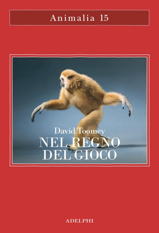 Regno del gioco (il)