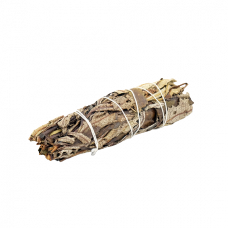 Smudge di yerba santa - 1 pz