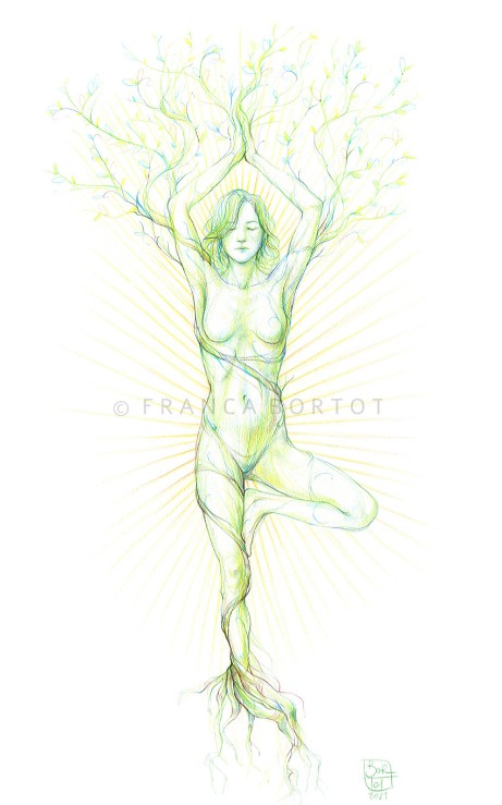 Stampa anatomy nature connection franca bortot - a3