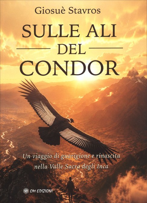 Sulle ali del condor
