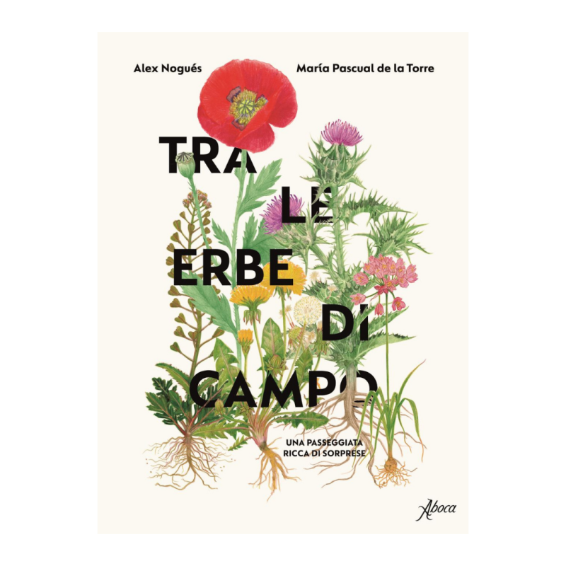 Tra le erbe di campo