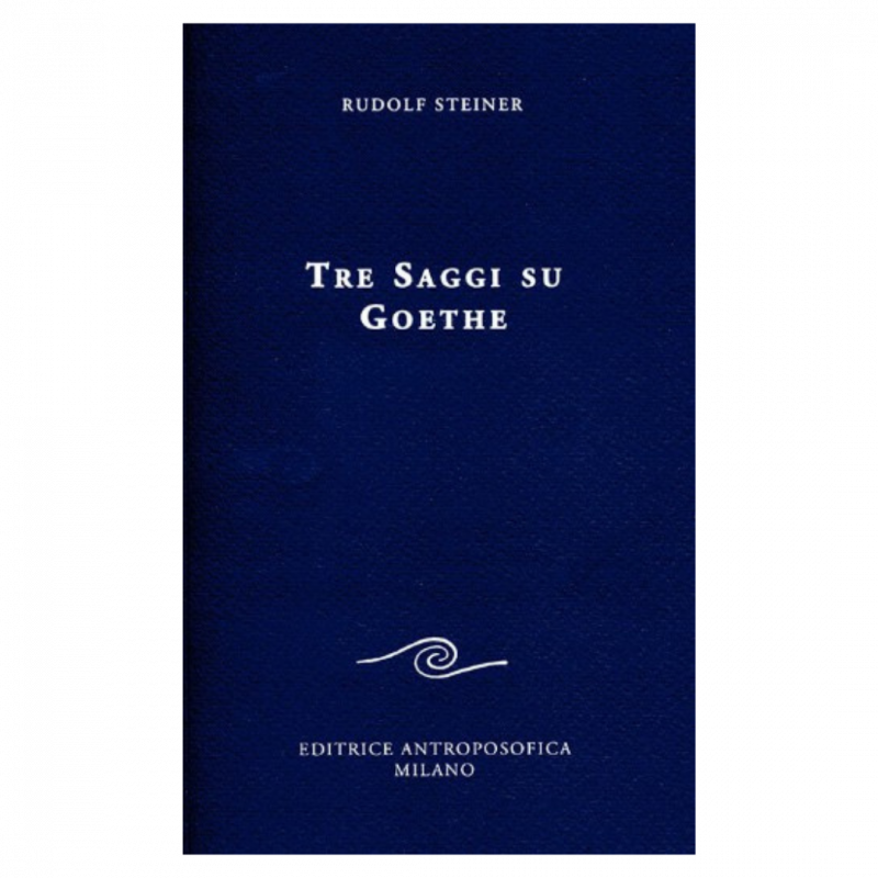 Tre saggi su Goethe