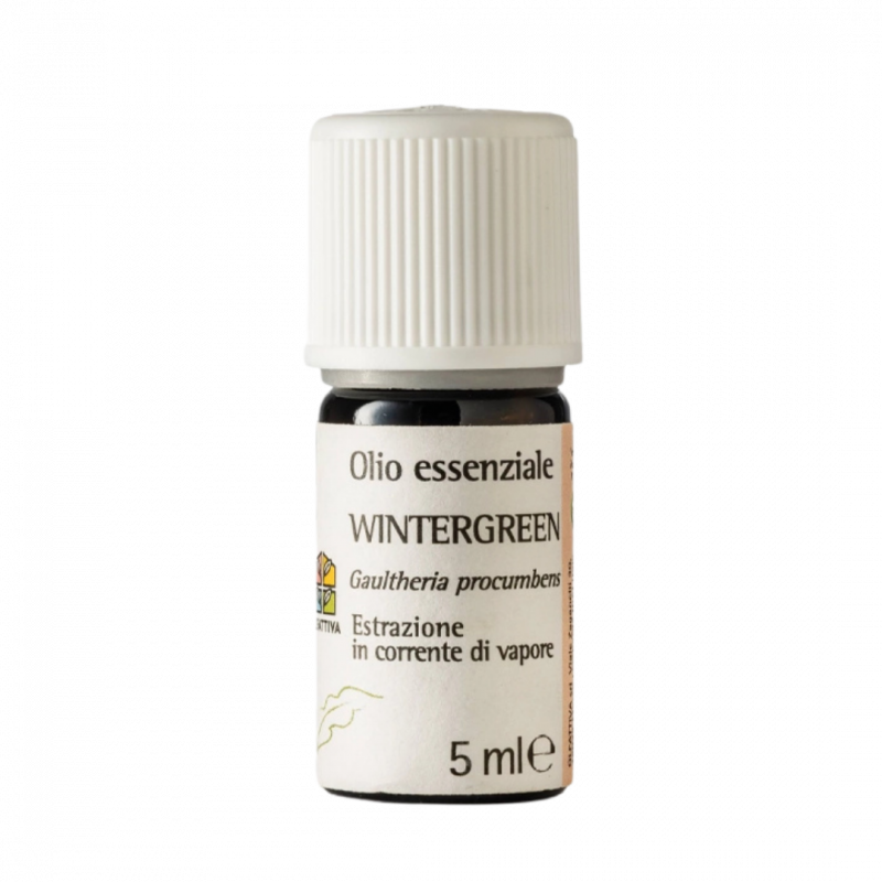 Wintergreen - olio essenziale 5 ml