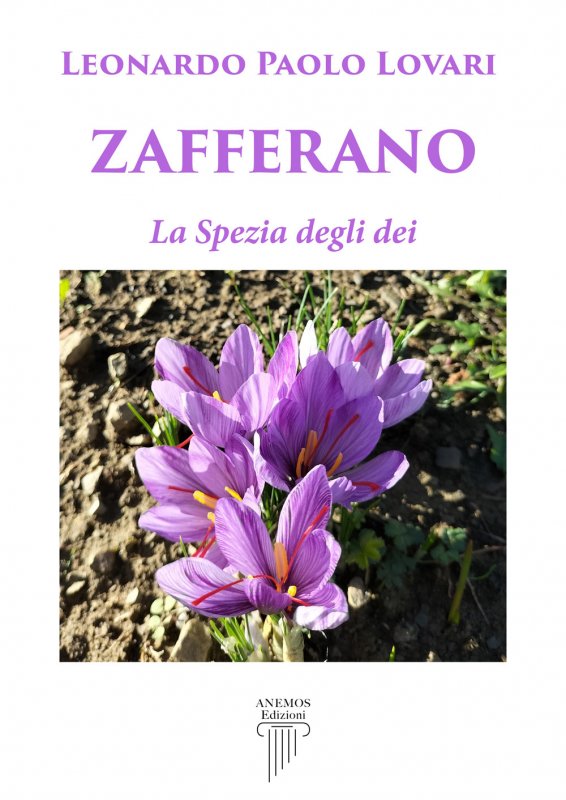 Zafferano. La spezia degli dei